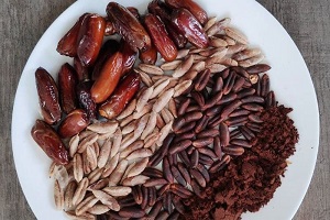 هسته خرما بوشهر + قیمت خرید، کاربرد، مصارف و خواص