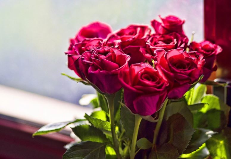 خرید و قیمت گل رز هلندی مصنوعی عمده و تک فروشی