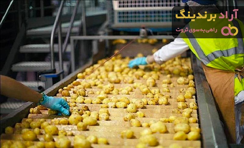 سورتینگ سیب زمینی | فروشندگان قیمت مناسب سورتینگ سیب زمینی