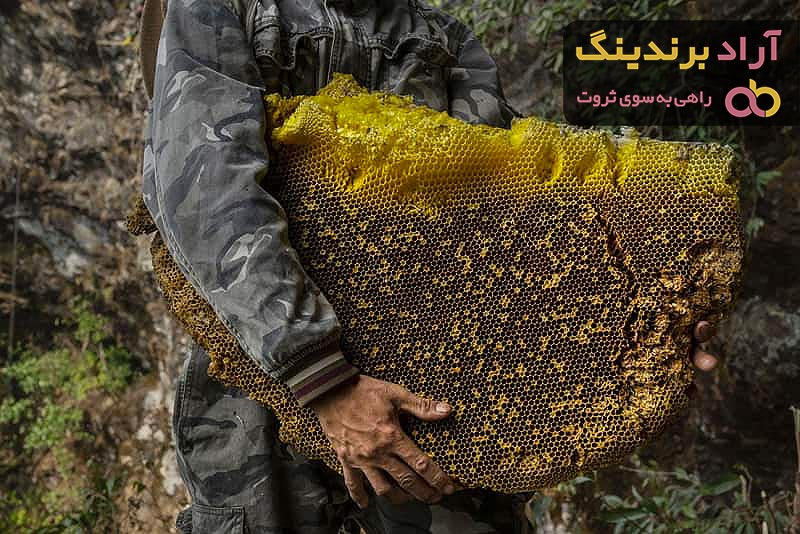 خرید انواع عسل کوهی + قیمت