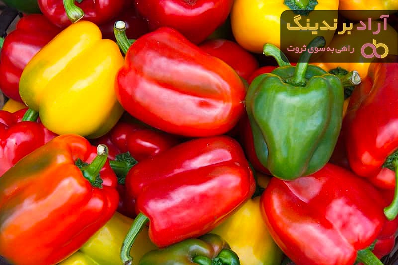 خرید فلفل دلمه ای رنگی گلخانه ای با قیمت استثنایی