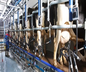 بهترین  شیر دوش دستی کدام است؟ + مقایسه کامل | قیمت عالی