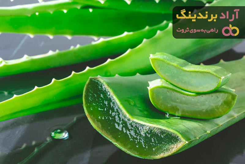 خرید انواع ژل آلوئه ورا با بهترین قیمت