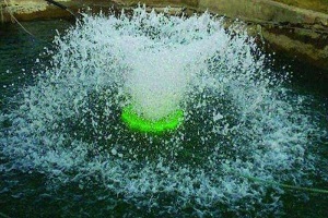 پمپ هواده چیست؟ + قیمت خرید پمپ هواده