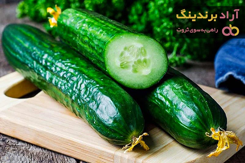 خرید بهترین انواع خیار با قیمت عالی