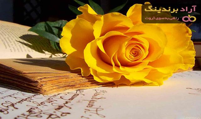 گل رز زرد؛ تعبیر خواب گل رز زرد