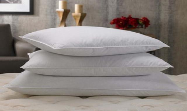 قیمت خرید رو بالشتی مخمل + فروش در تجارت و صادرات