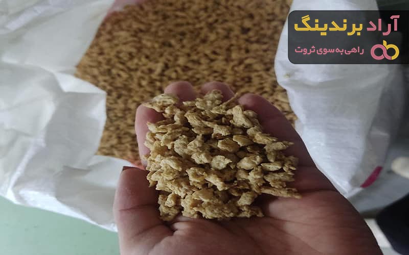 سویا خشک | فروشندگان قیمت مناسب سویا خشک