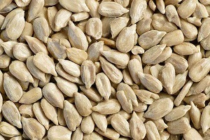 آشنایی با تخمه آفتاب گردان + قیمت اسنثنایی خرید تخمه آفتاب گردان