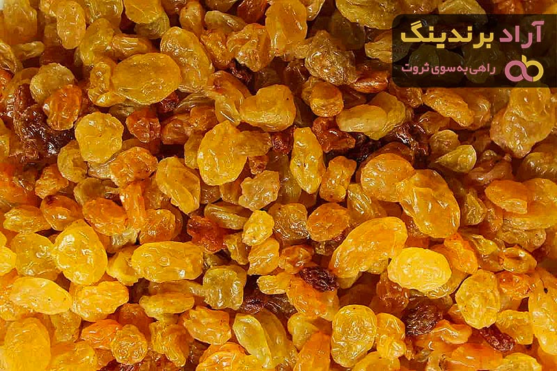 لیست قیمت کشمش در دی  ۱۴۰۱