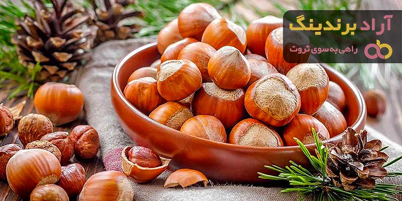 خرید بهترین انواع فندق با قیمت عالی