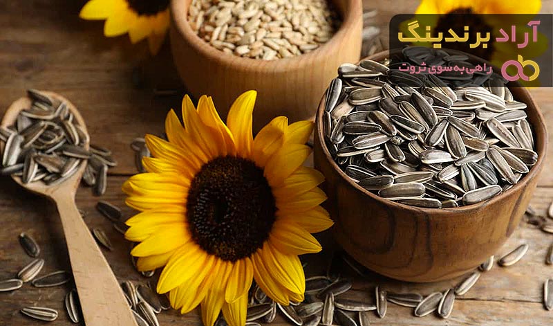 معرفی تخمه آفتابگردان خام + بهترین قیمت خرید
