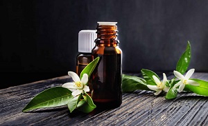 قیمت خرید روغن کانولا ارگانیک + تست کیفیت