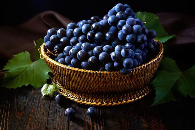 خرید سرکه انگور سیاه خانگی با قیمت استثنایی