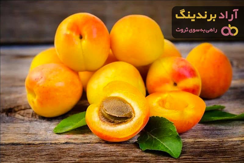 خرید پرفروش ترین انواع زردآلو با بهترین قیمت