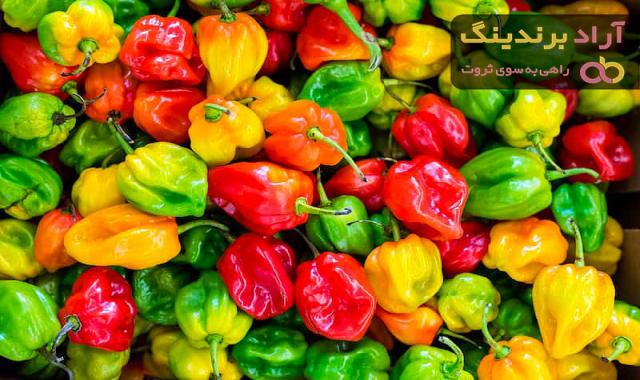 لیست قیمت فلفل دلمه ای رنگی 1401