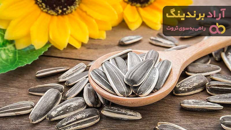 قیمت خرید تخمه آفتابگردان + مزایا و معایب
