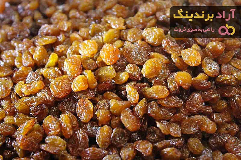 قیمت خرید کشمش آفتابی خشک  + مشخصات، عمده ارزان