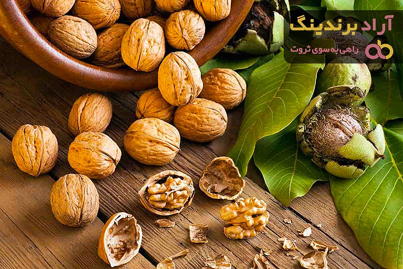 بهترین قیمت خرید انواع گردو دی ۱۴۰۱