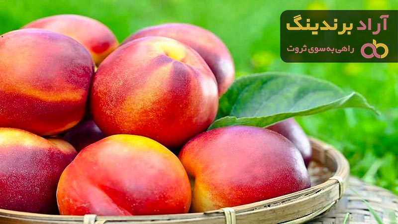 خرید و لیست قیمت شلیل با بهترین کیفیت