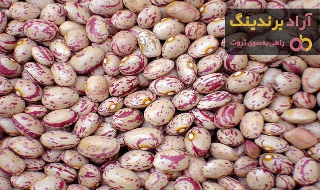 خرید انواع لوبیا چیتی با بهترین قیمت