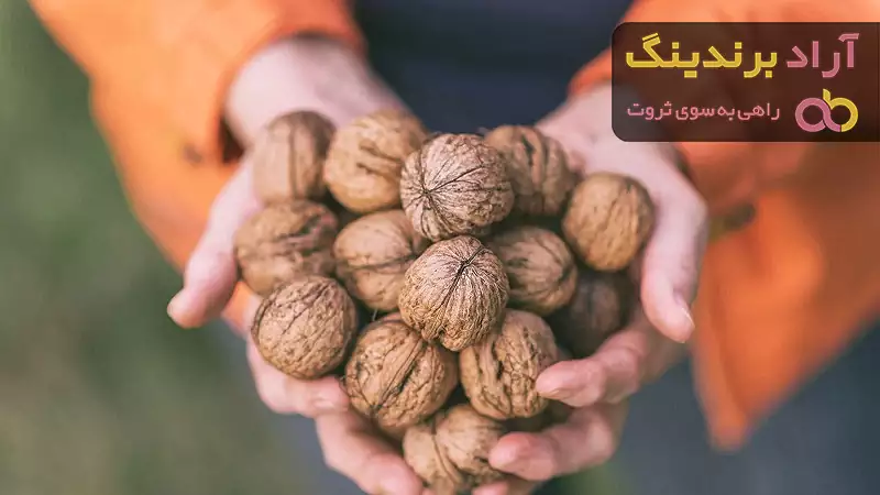 خرید گردو تواضع | فروش با قیمت مناسب