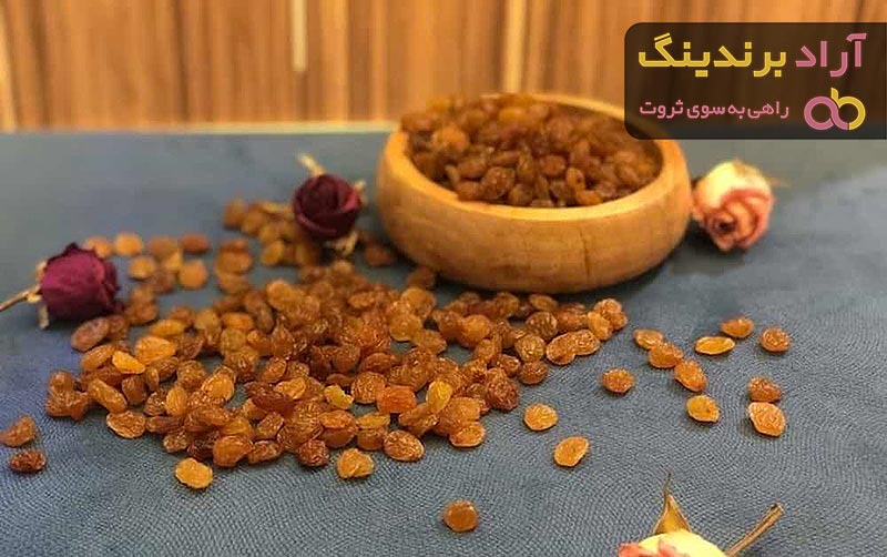 معرفی کشمش طلایی ملایر + بهترین قیمت خرید