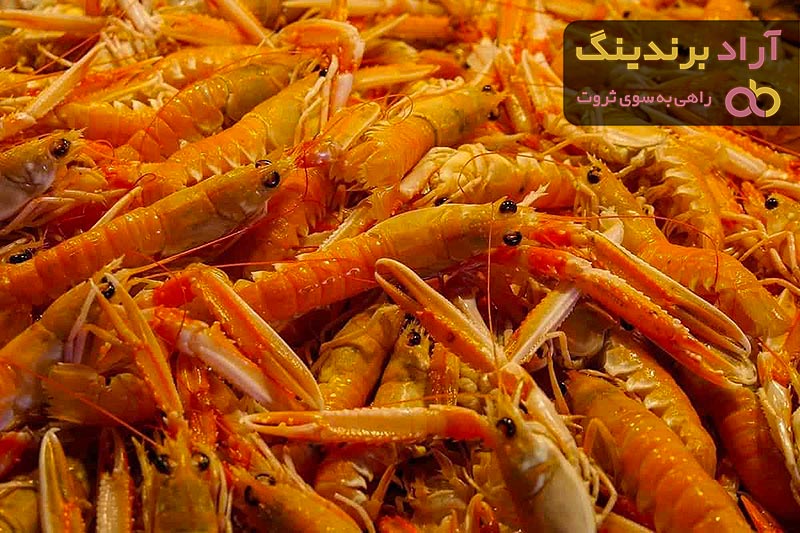 غذای میگوی پرورشی + قیمت خرید، کاربرد، مصارف و خواص