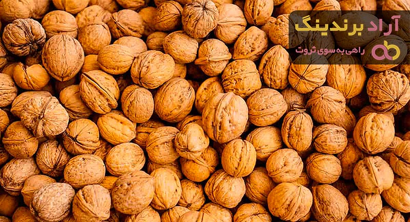 خرید انواع گردو آمریکایی با بهترین قیمت