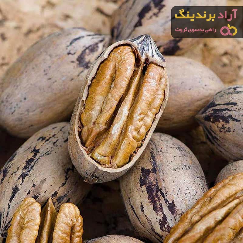 خرید بهترین انواع گردو آمریکایی با قیمت عالی