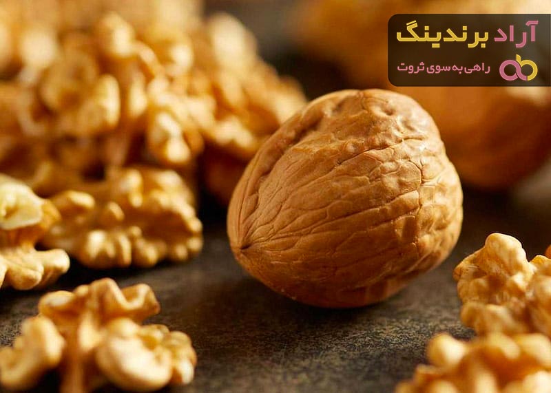 معرفی مغز گردو تویسرکان + بهترین قیمت خرید