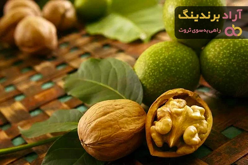 بهترین گردو پوست کاغذی + قیمت خرید عالی