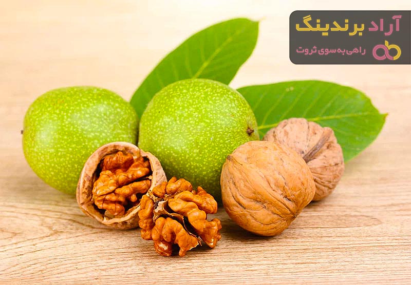 مقایسه قیمت خرید انواع گردو خشک در دی ۱۴۰۱