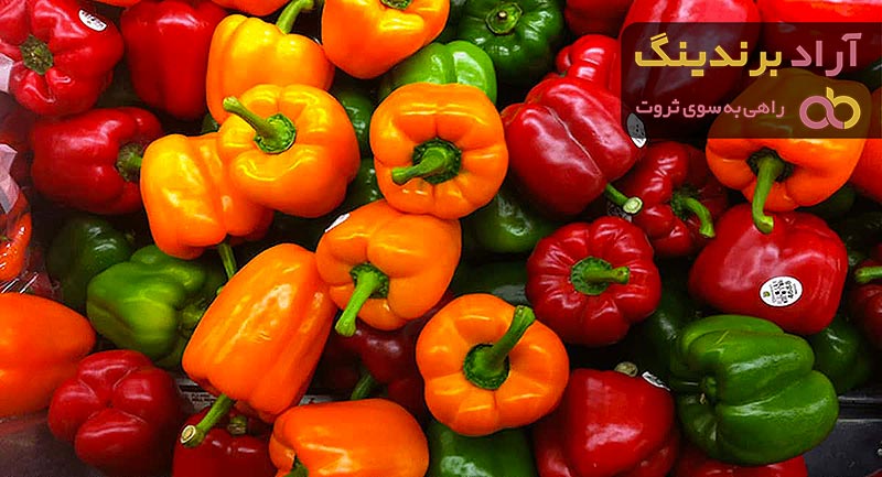 قیمت فلفل دلمه ای + خرید و فروش عمده