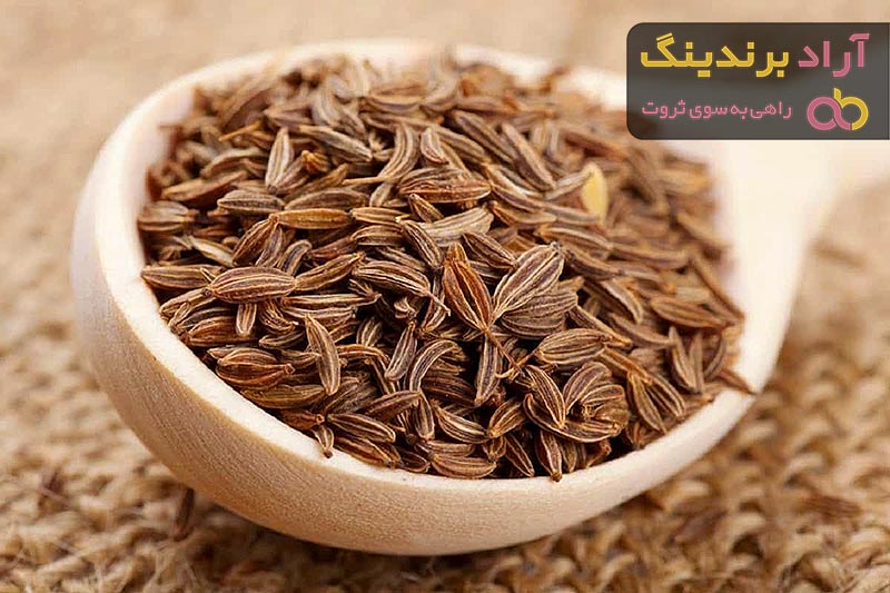 خرید انواع زیره سیاه با بهترین قیمت