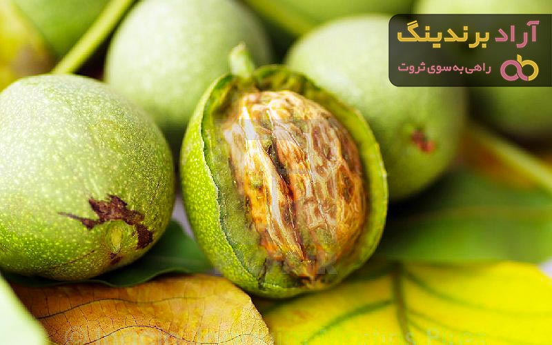 گردو با پوست سبز + قیمت خرید، کاربرد، مصارف و خواص