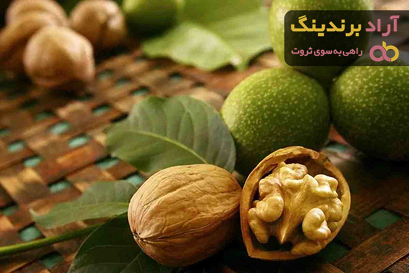 خرید گردو پوست کاغذی مشهد با قیمت استثنایی