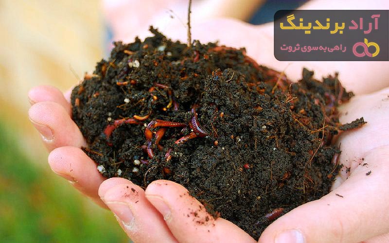 قیمت خرید کود ورمی کمپوست + خواص، معایب و مزایا