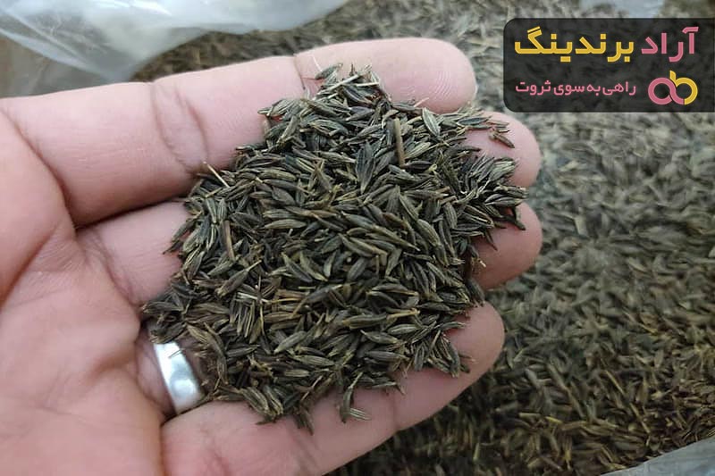 قیمت خرید زیره کوهی + فروش عالی