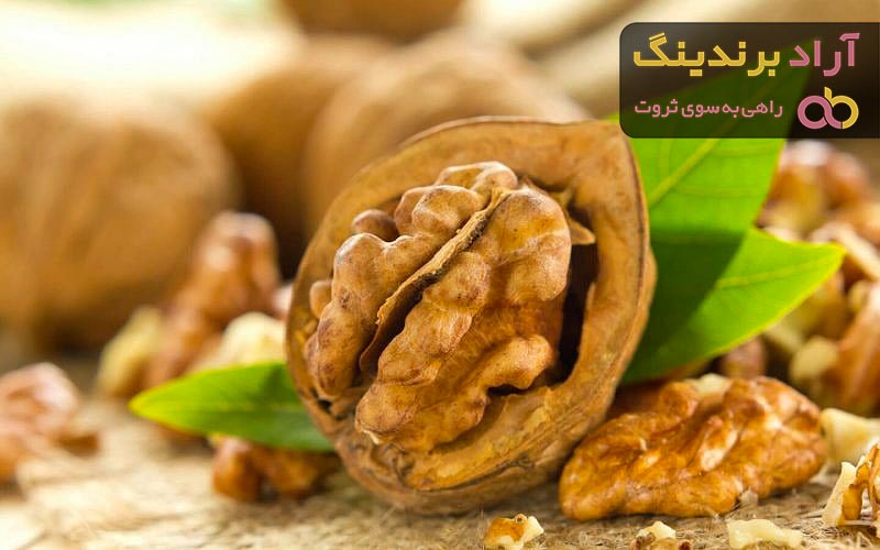 بهترین قیمت خرید مغز گردو سفید