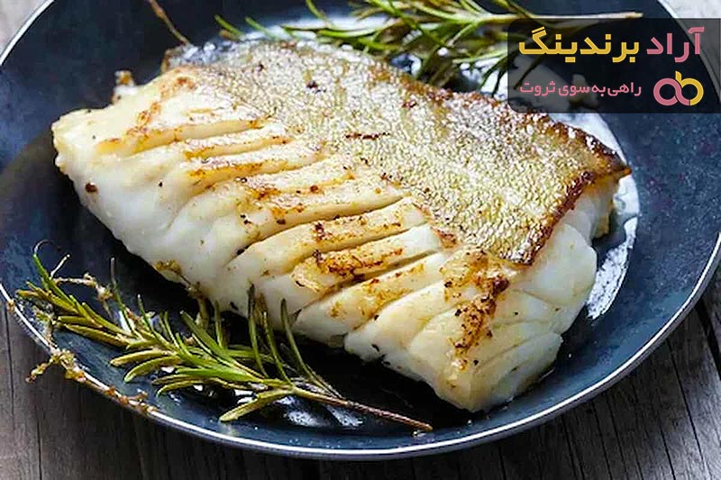 خرید ماهی شیر بزرگ + قیمت عالی