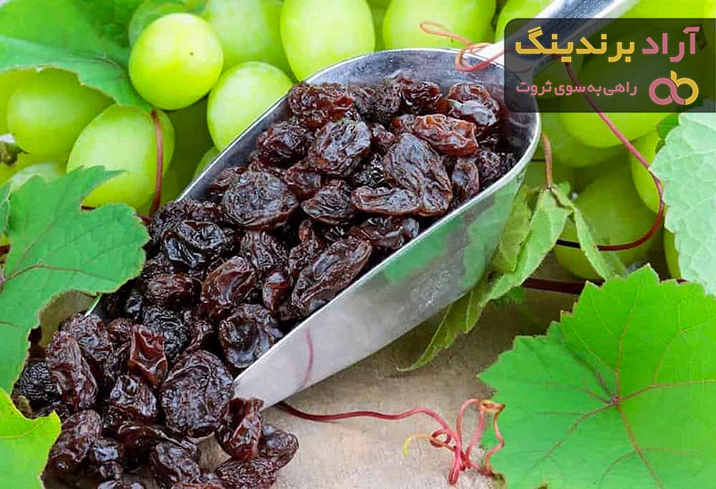 خرید کشمش مویز تاکستان + قیمت عالی