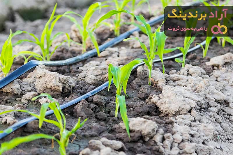 خرید سیستم آبیاری قطره ای موضعی با قیمت استثنایی