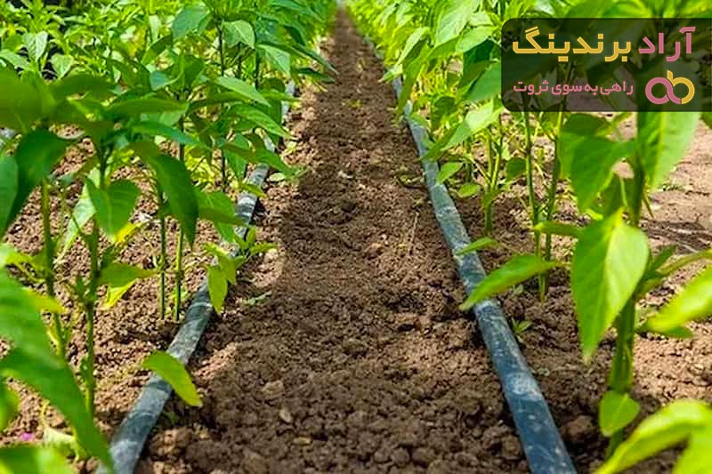 خرید سیستم آبیاری تحت فشار قطره ای با قیمت استثنایی