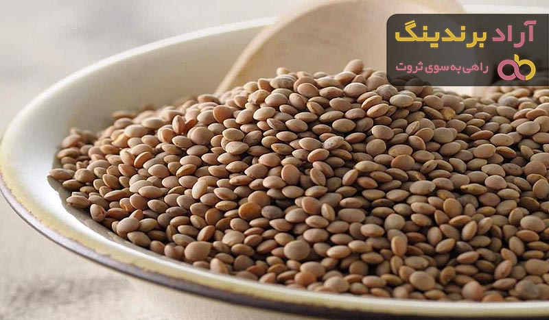 خرید انواع عدس پلویی مجلسی + قیمت