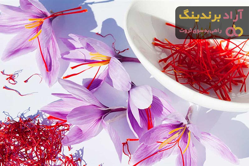 خرید بهترین انواع زعفران مجتهدی با قیمت ارزان
