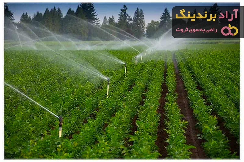 معرفی سیستم آبیاری تحت فشار بارانی + بهترین قیمت خرید