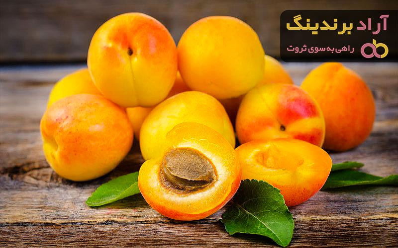 قیمت خرید زردآلو ایرانی + فروش عالی
