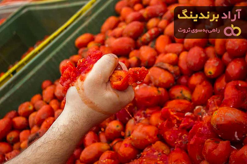 خرید تفاله گوجه + کارخانه تولید و عرضه پخش