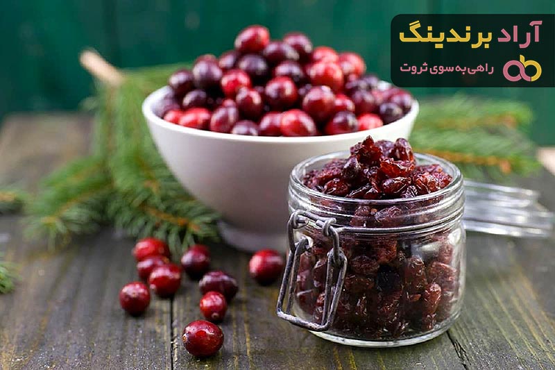 قیمت خرید آلبالو خشک از تولید به مصرف